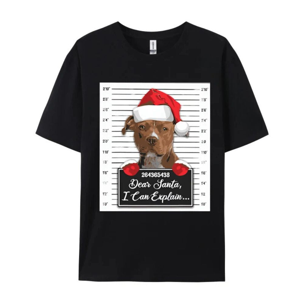 Santa, Hear Me Out! - Men's T Shirt - 100% Premium Cotton