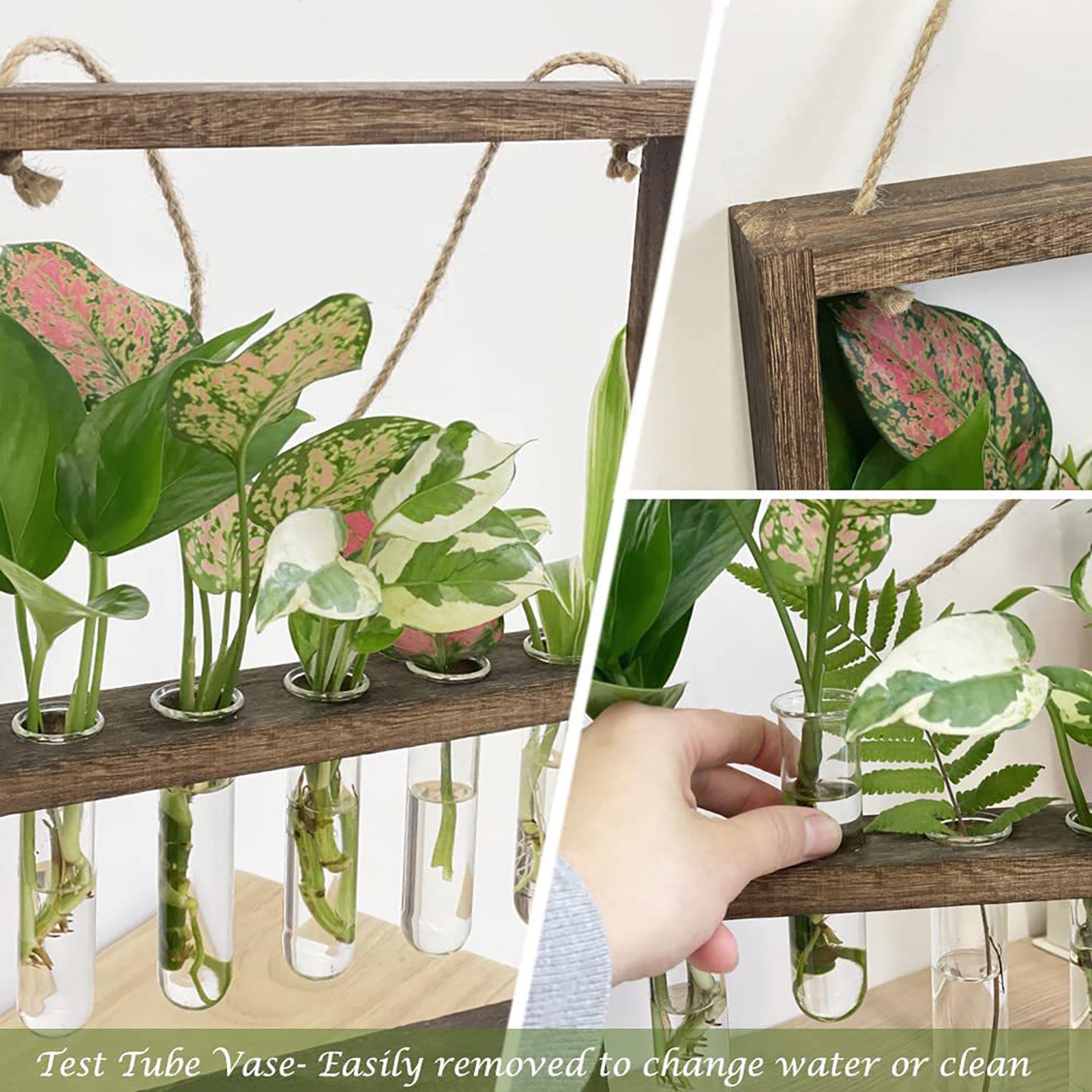 Leaf Lab Hanging Garden Decor