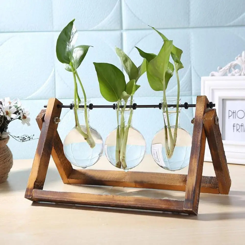 Rustic Charm Glass Hydroponic Plant Vase Stand