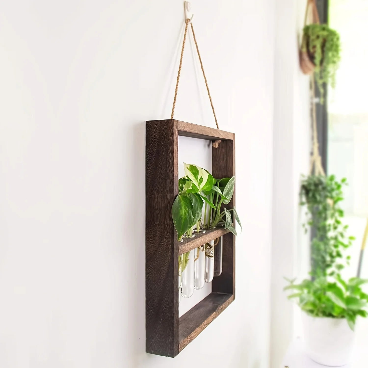 Leaf Lab Hanging Garden Decor