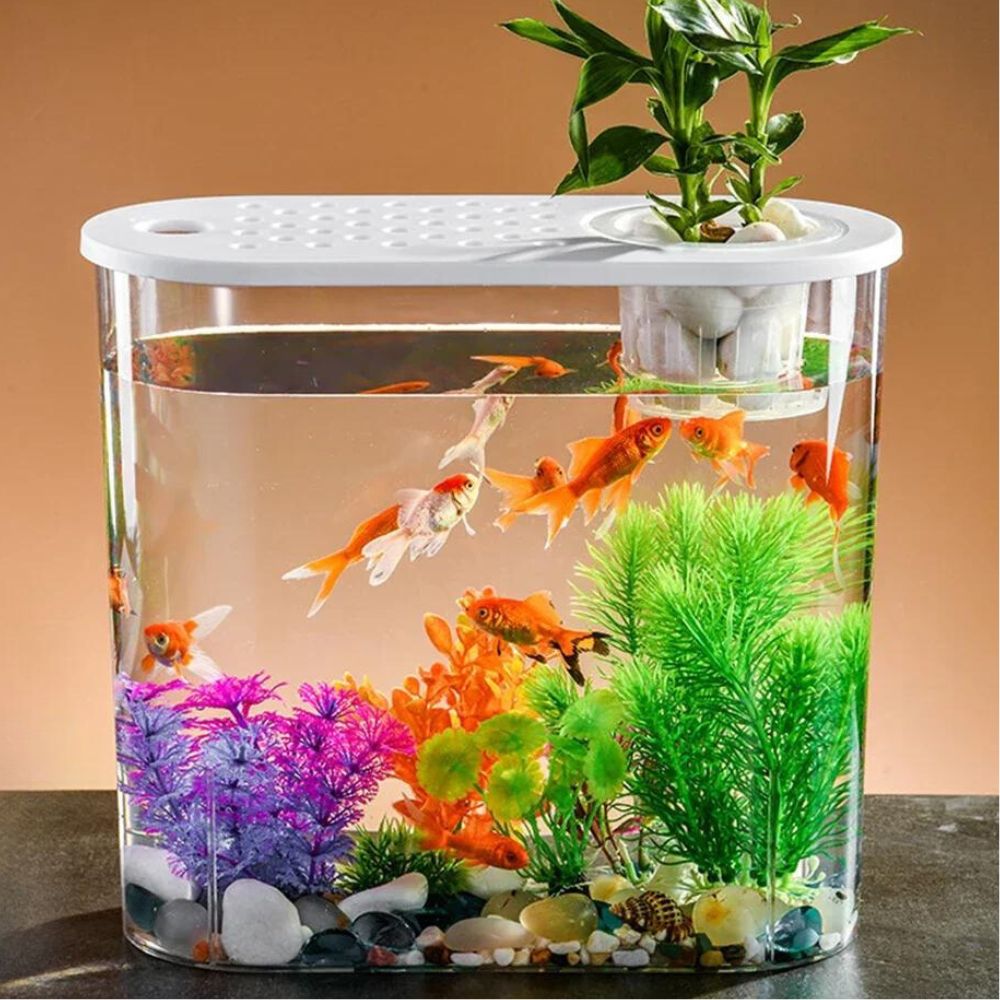 AquaVista Fish Tank