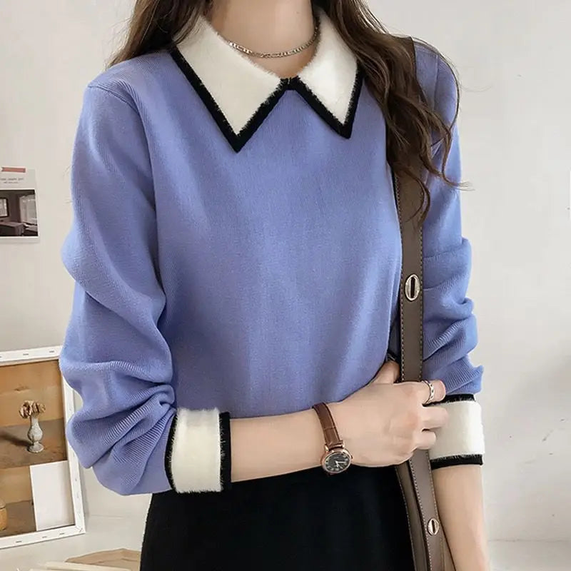 Bold Boundaries Collared Knit Sweater