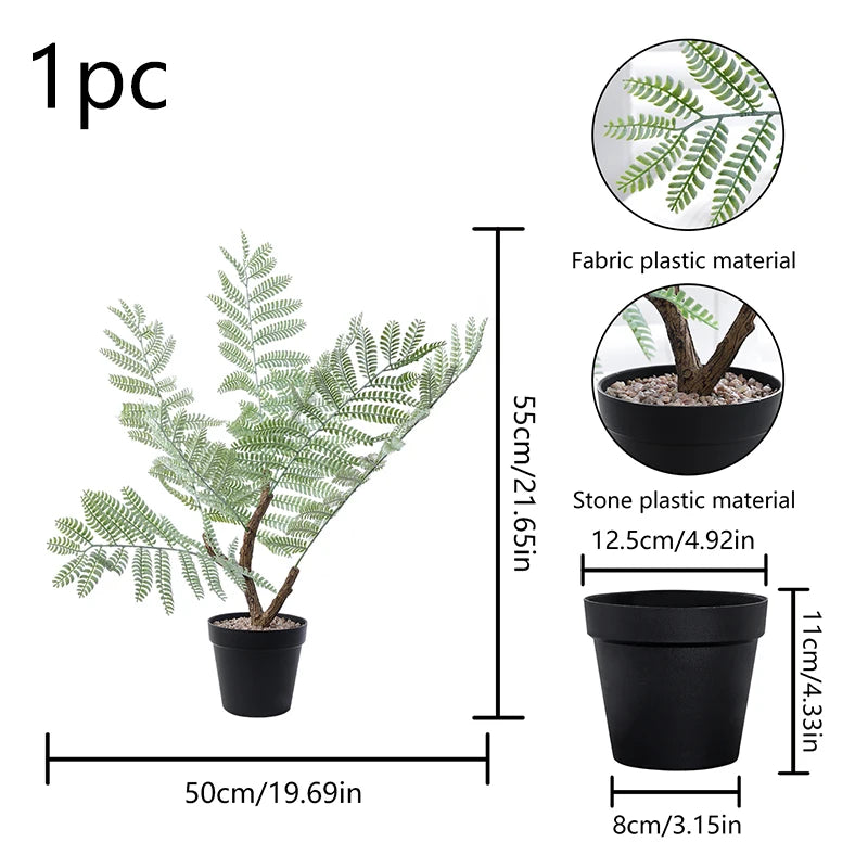 Evergreen Potted Fern