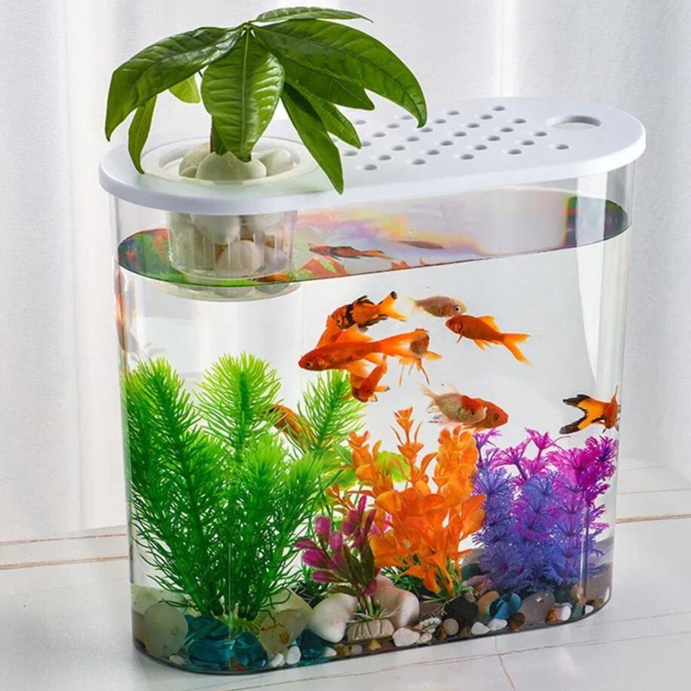 AquaVista Fish Tank